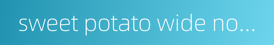 sweet potato wide noodles的同义词