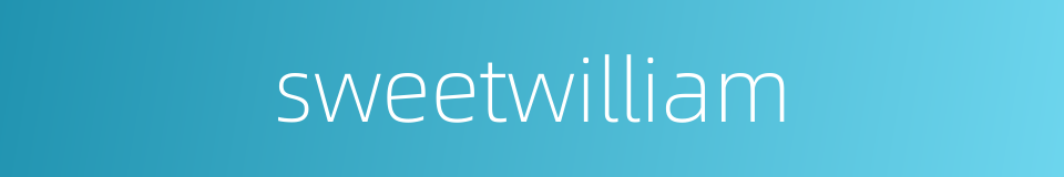 sweetwilliam的同义词