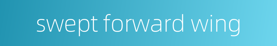 swept forward wing的同义词