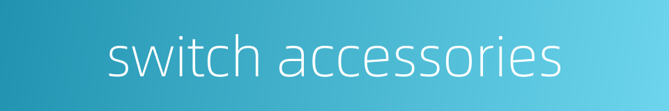 switch accessories的同义词