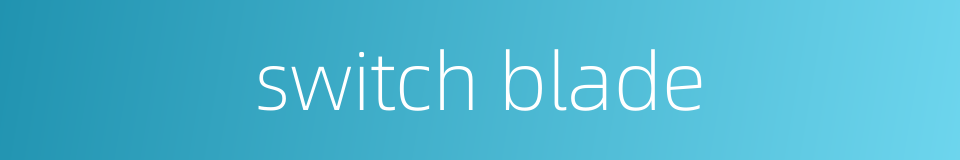 switch blade的同义词