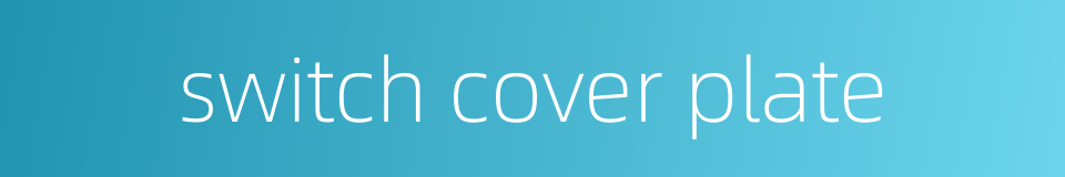 switch cover plate的同义词