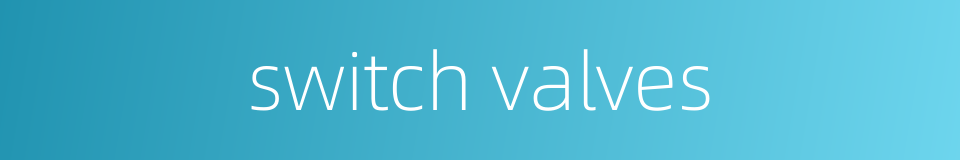 switch valves的同义词
