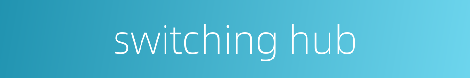 switching hub的同义词