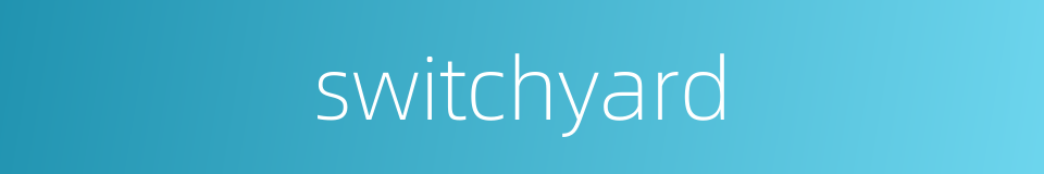 switchyard的同义词