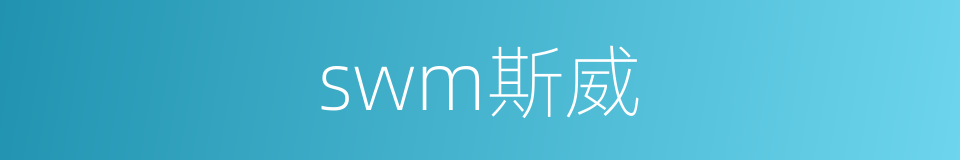 swm斯威的同义词