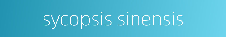 sycopsis sinensis的同义词