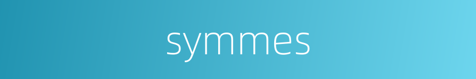symmes的同义词