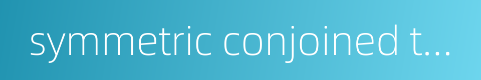 symmetric conjoined twins的同义词