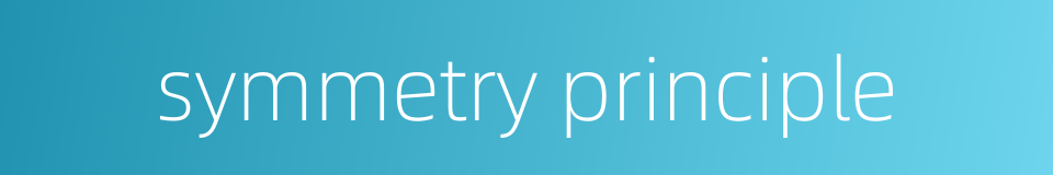 symmetry principle的同义词