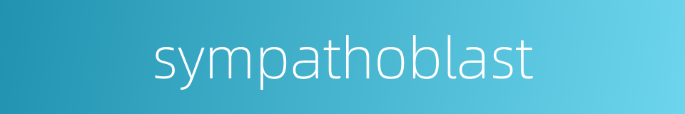 sympathoblast的同义词
