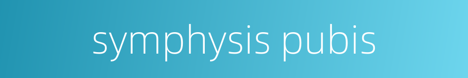 symphysis pubis的同义词