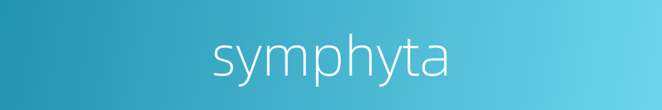 symphyta的同义词