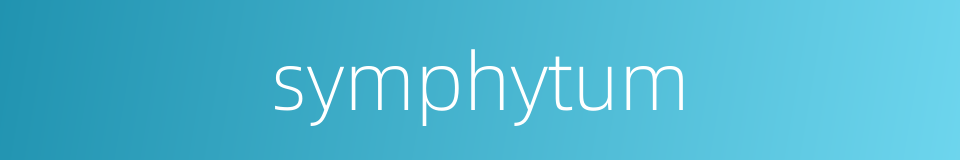 symphytum的同义词