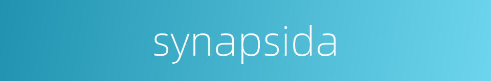 synapsida的同义词