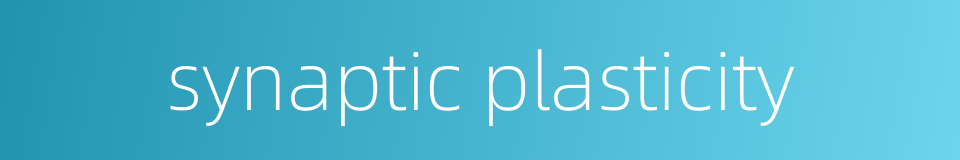 synaptic plasticity的同义词