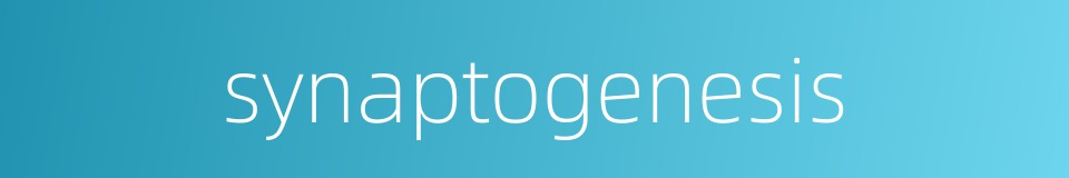 synaptogenesis的同义词
