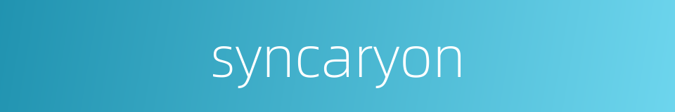 syncaryon的同义词