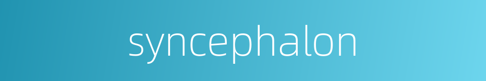 syncephalon的同义词