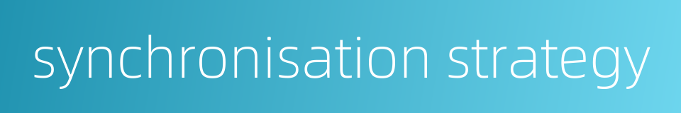 synchronisation strategy的同义词