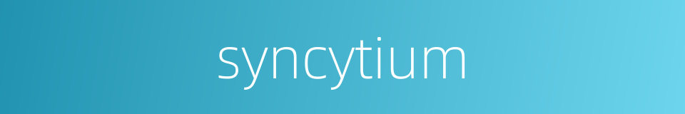 syncytium的同义词