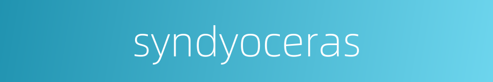 syndyoceras的同义词