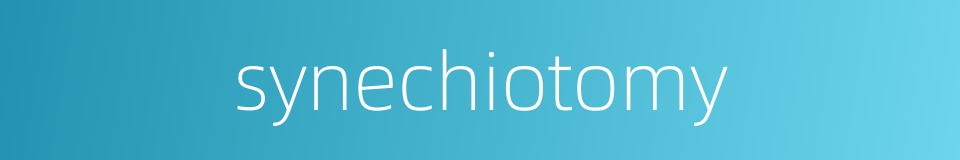 synechiotomy的同义词