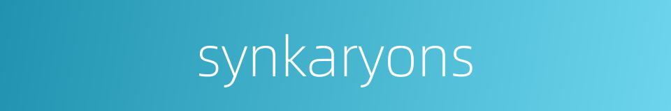 synkaryons的同义词