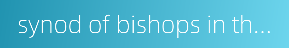 synod of bishops in the catholic church的同义词