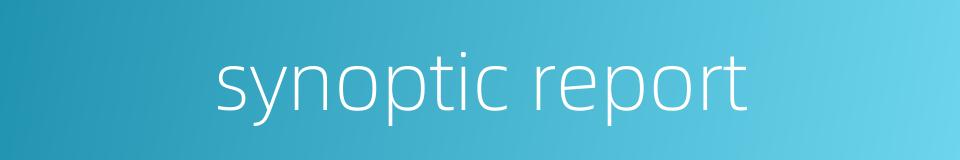 synoptic report的同义词