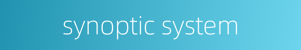 synoptic system的同义词