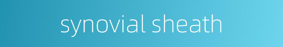 synovial sheath的同义词