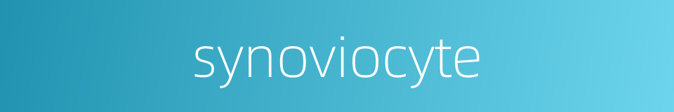 synoviocyte的同义词