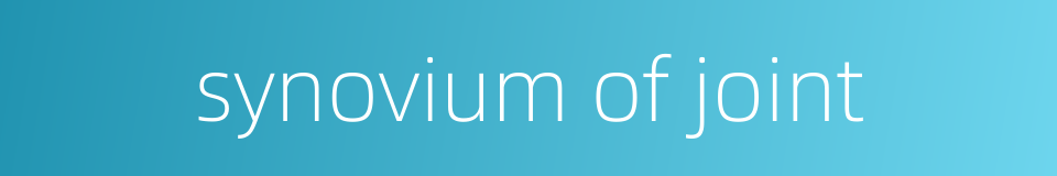 synovium of joint的同义词