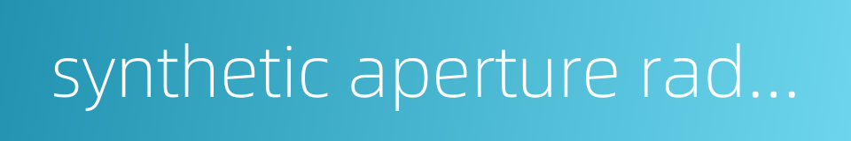 synthetic aperture radar image的同义词
