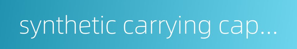 synthetic carrying capacity的同义词