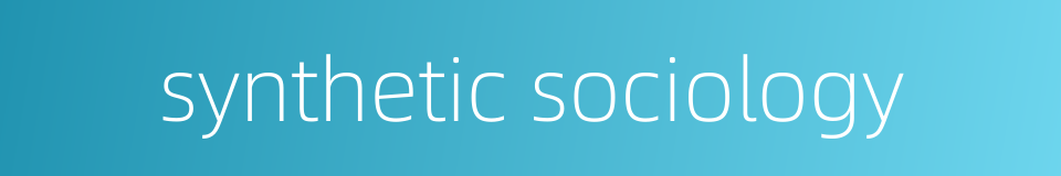 synthetic sociology的同义词