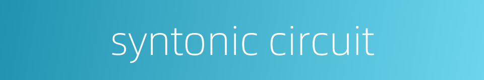syntonic circuit的同义词