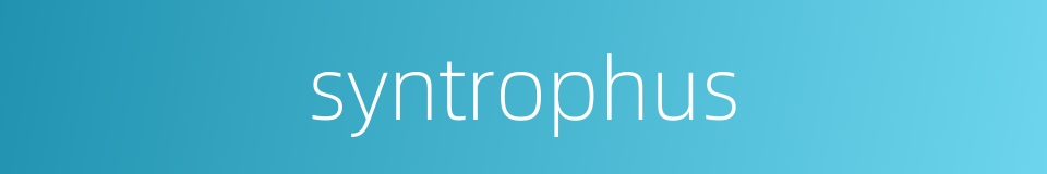 syntrophus的同义词
