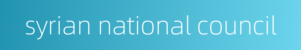 syrian national council的同义词