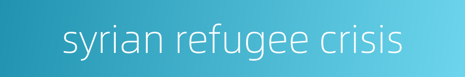 syrian refugee crisis的同义词