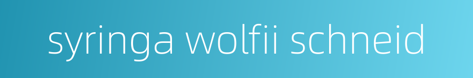 syringa wolfii schneid的同义词