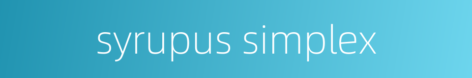 syrupus simplex的同义词