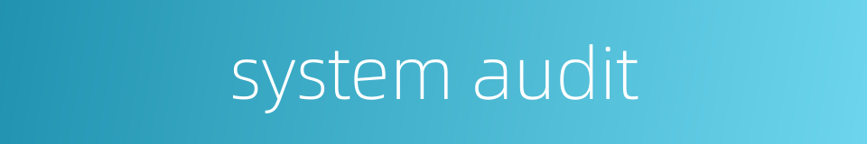 system audit的同义词