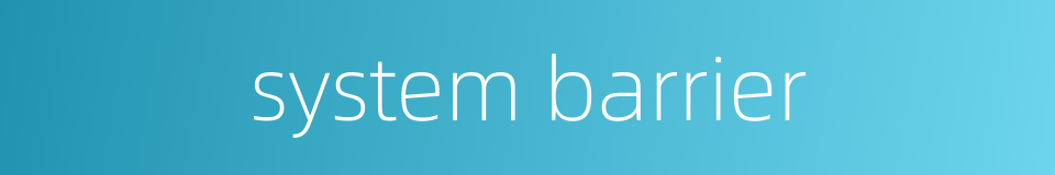 system barrier的同义词