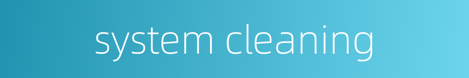 system cleaning的同义词