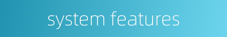 system features的同义词