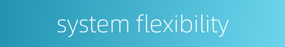 system flexibility的同义词