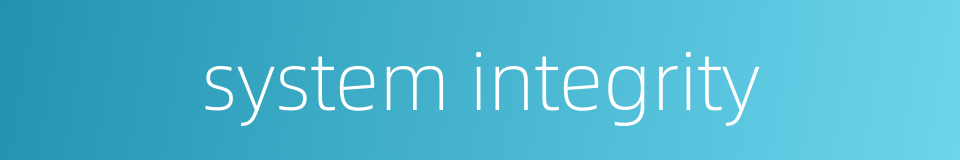 system integrity的同义词