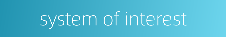 system of interest的同义词